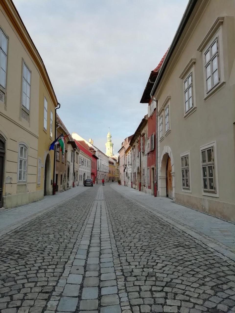 Ferienwohnung Fueredi Haz Apartman Ödenburg Exterior foto