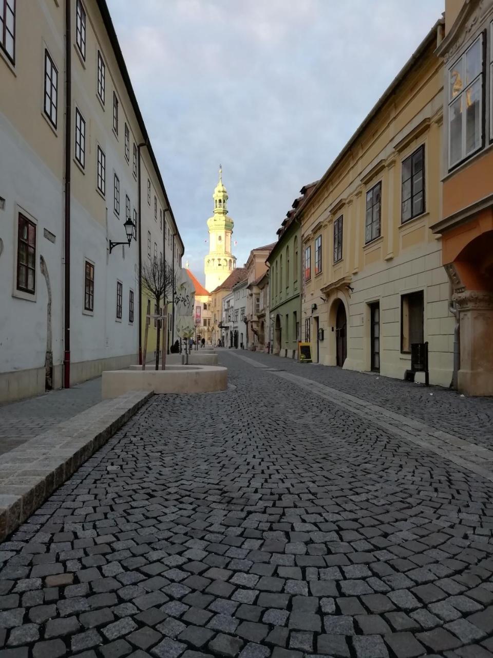 Ferienwohnung Fueredi Haz Apartman Ödenburg Exterior foto